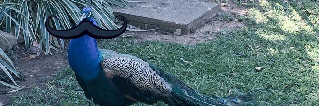 Santitoj's profile banner image