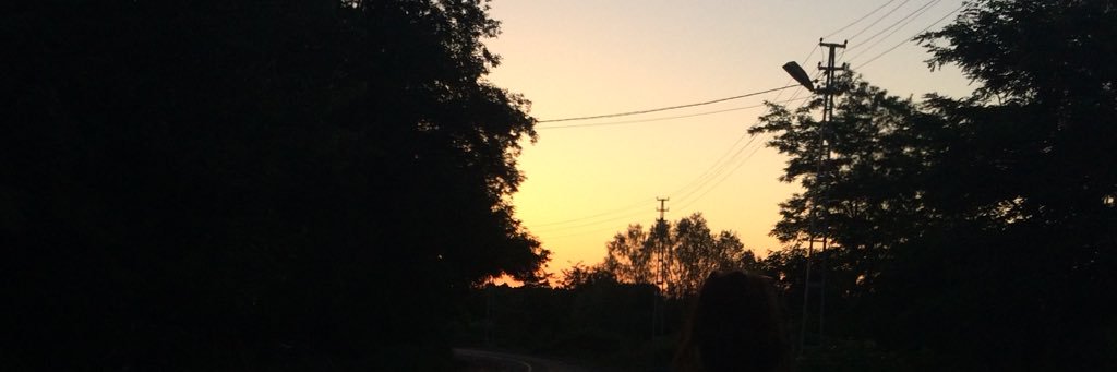 DlrAkdgn's profile banner image