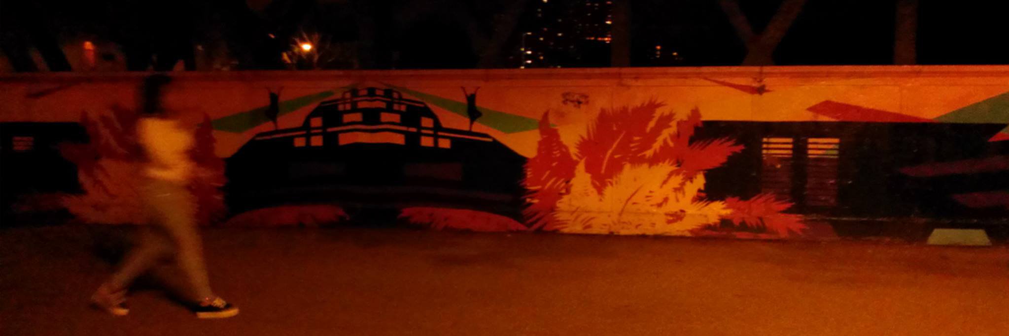 shimmerinlights's profile banner image