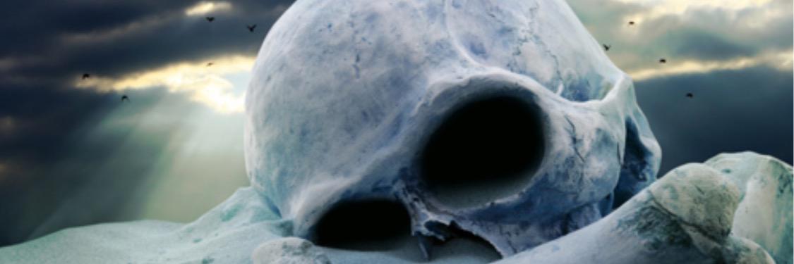 robert_cote's profile banner image