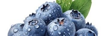 Blueberry 🫐 banner