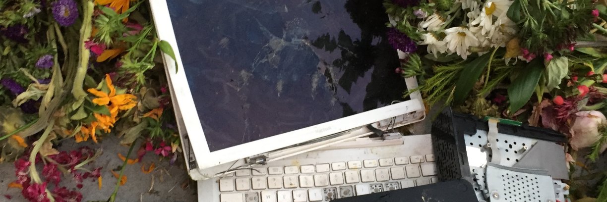 🔗 linking not ranking 🖇 banner