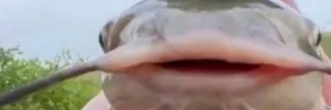 QuackHab's profile banner image