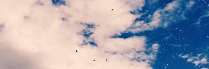 rip_corchi's profile banner image