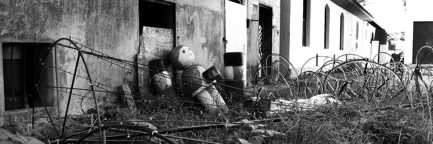 Ever_Fagundes's profile banner image