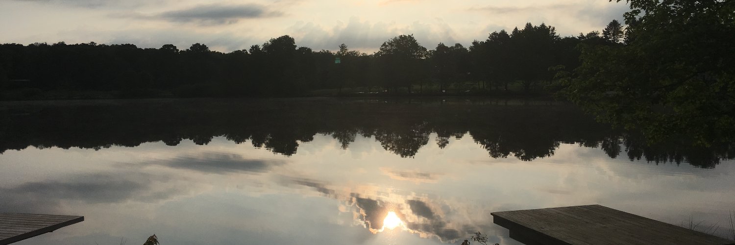 STWray's profile banner image