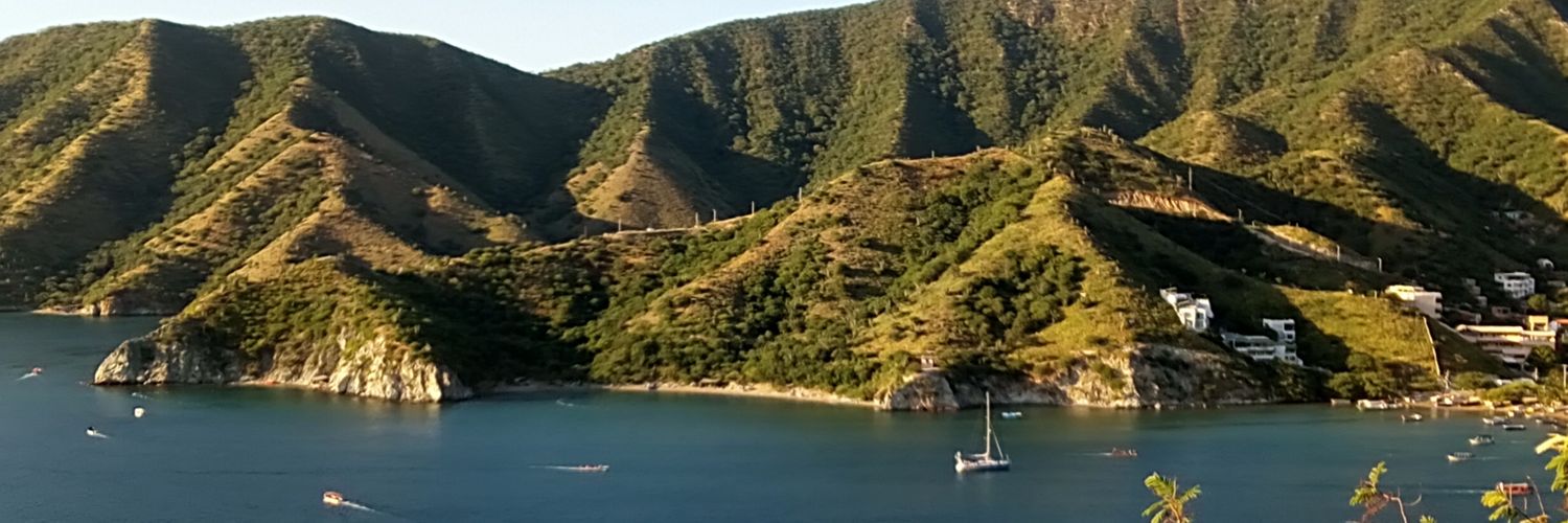 NanyCarbonell's profile banner image