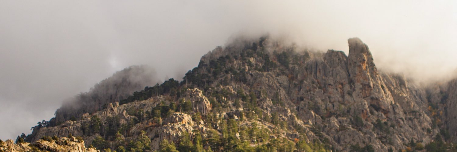 A_Sammarcelli's profile banner image