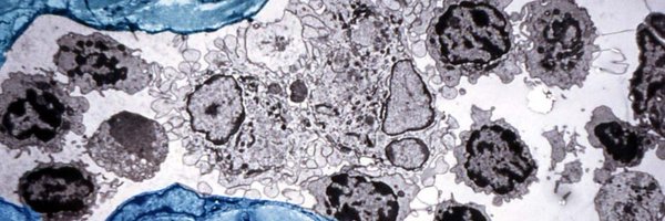 jeanbarbeau2 Profile Banner