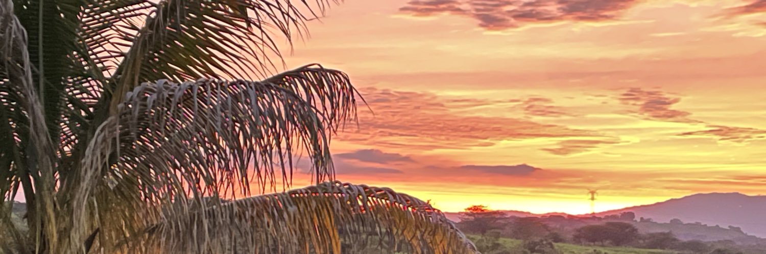 840729m's profile banner image