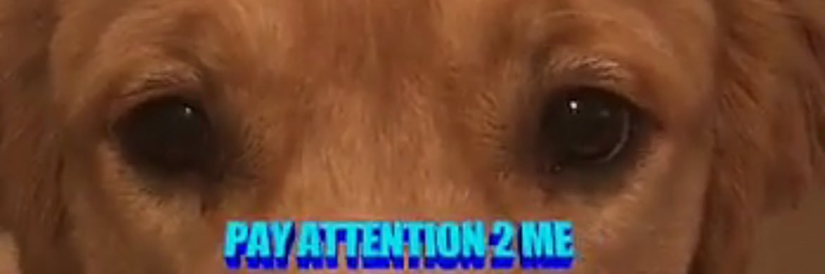 BrookeAnne_15's profile banner image