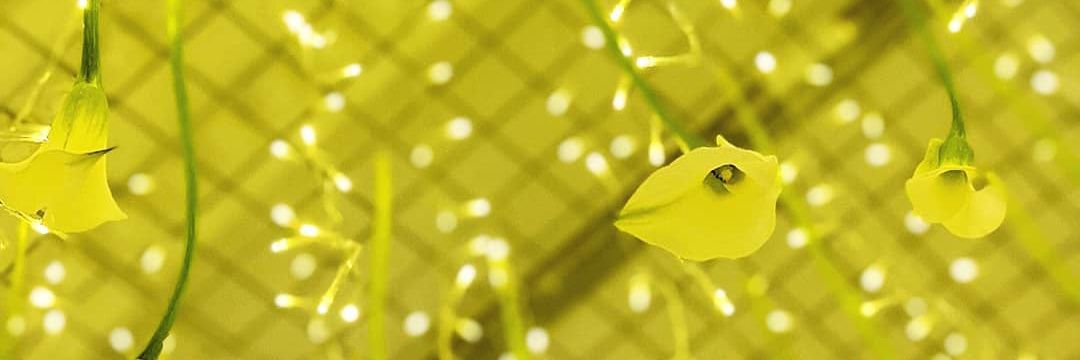 SweetMoonBaby's profile banner image