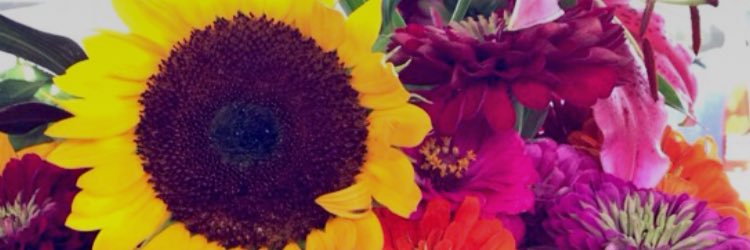 JulianaCook1's profile banner image