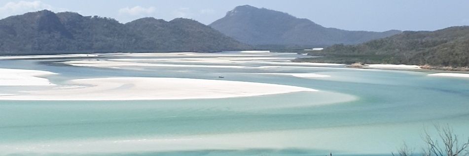 chrisvella1's profile banner image