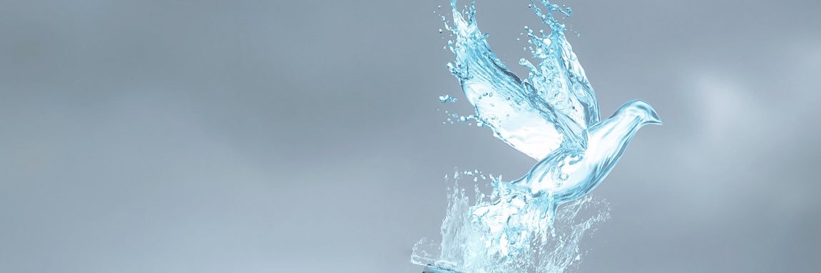 vip_19866's profile banner image