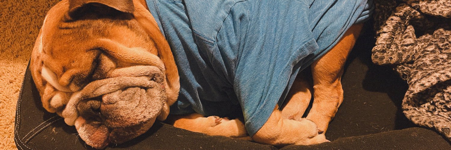 LullabySsn's profile banner image