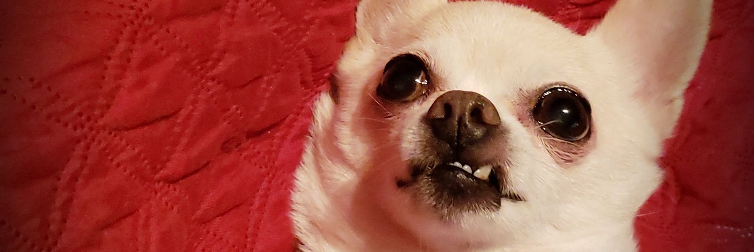 KortneIsTheName's profile banner image