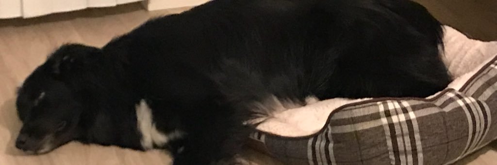 rmarrrrr's profile banner image