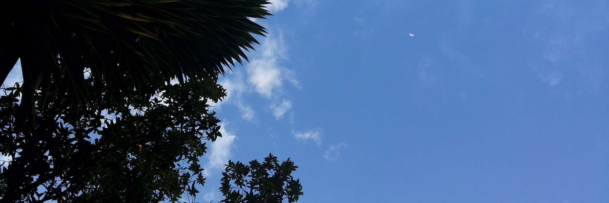 YeimyAndreaa's profile banner image