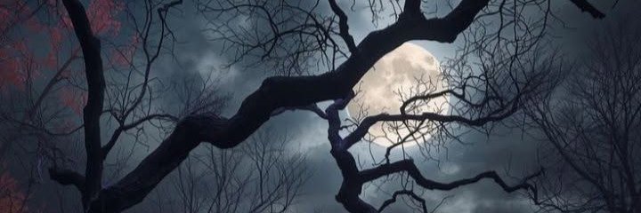 rajcollins's profile banner image