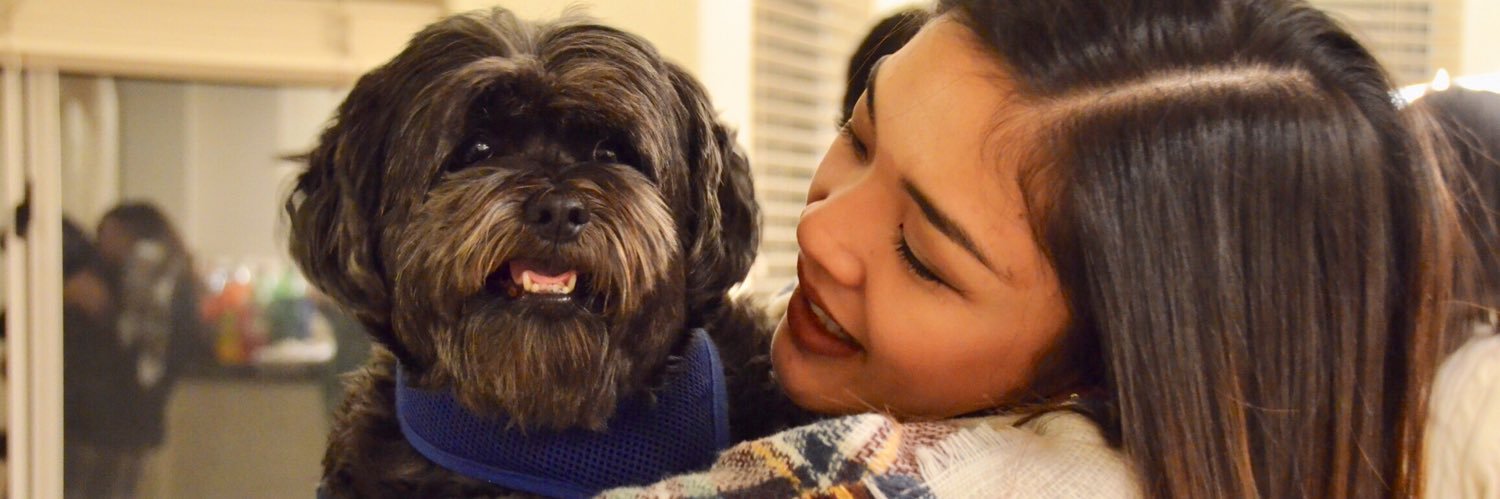 Audrey banner
