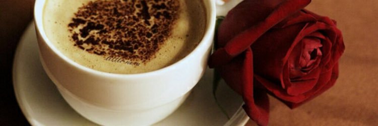 R20009's profile banner image