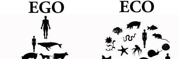 Stek_Turku's profile banner image
