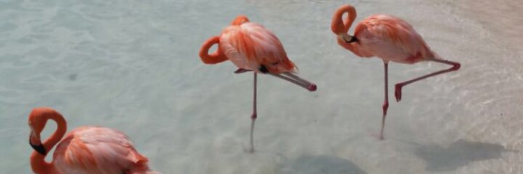 MarieVanRompaey's profile banner image