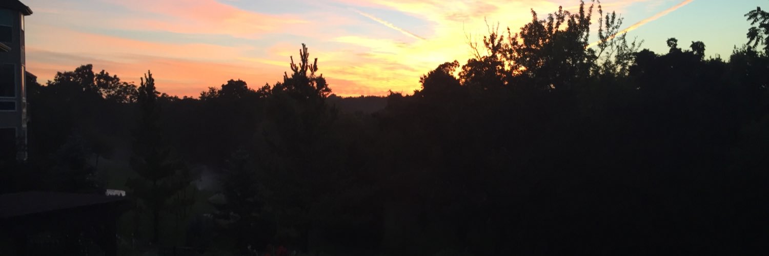 stbush07's profile banner image