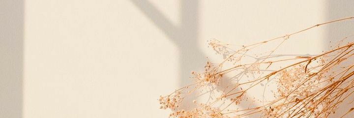 AgusCaceres9's profile banner image