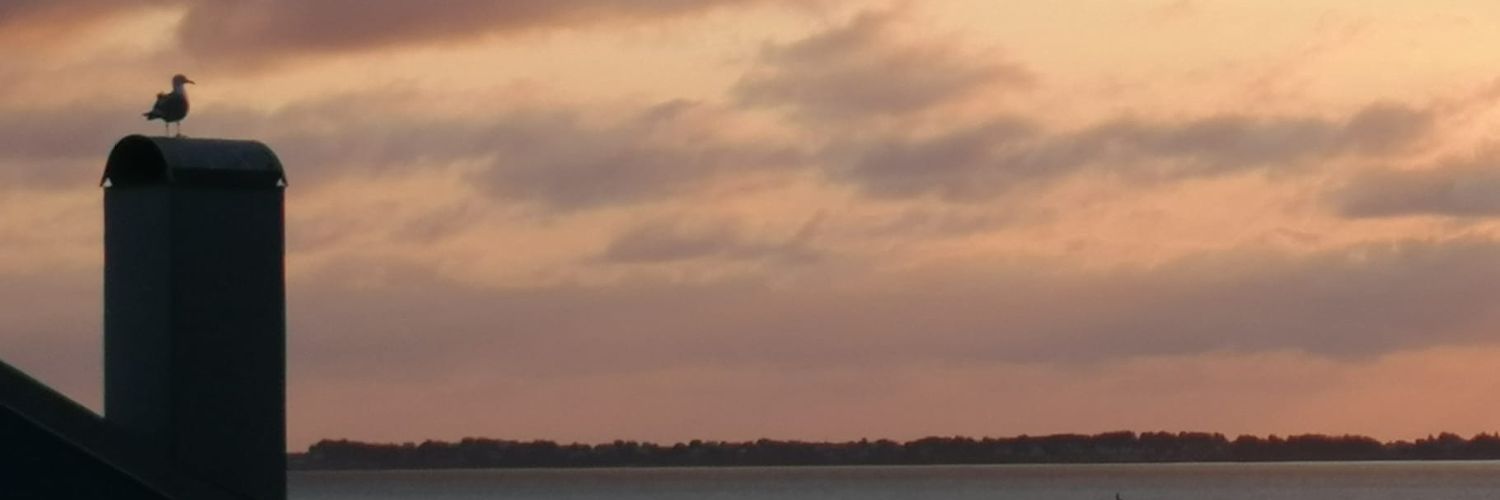 Humlesnurr's profile banner image