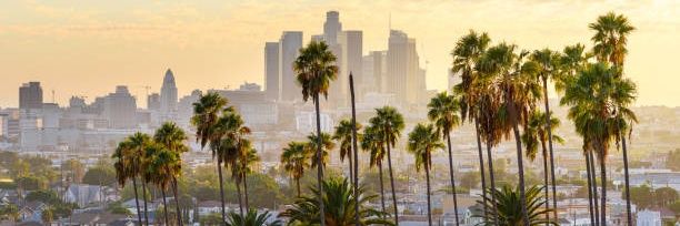 Leandro Hernan10 banner