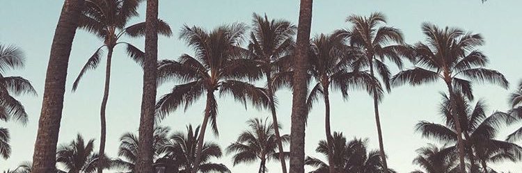 _____h526's profile banner image