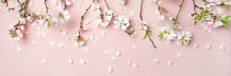 Onyidarling's profile banner image