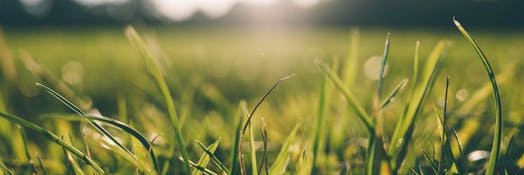 Andy Venables banner