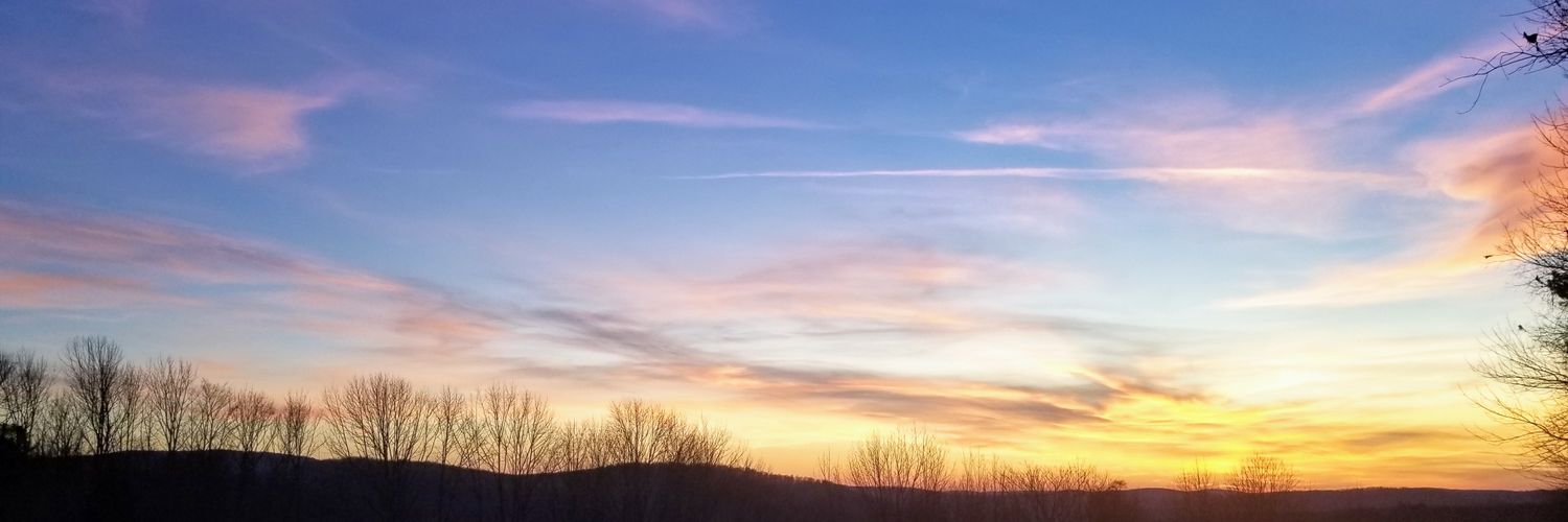 Thomas Austin banner