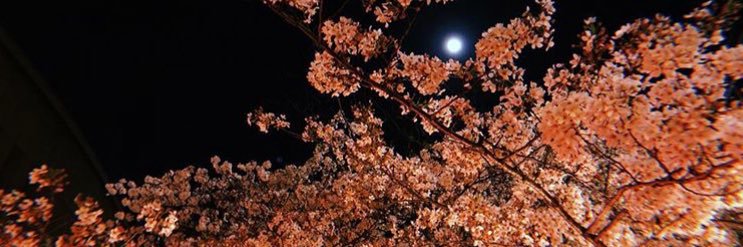 benzoo0318's profile banner image