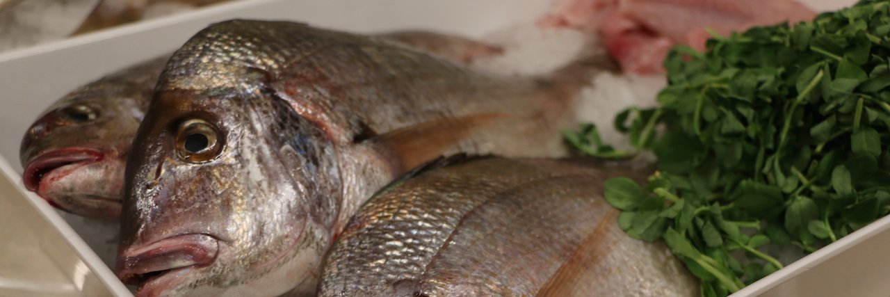 Eating w/t Ecosystem banner