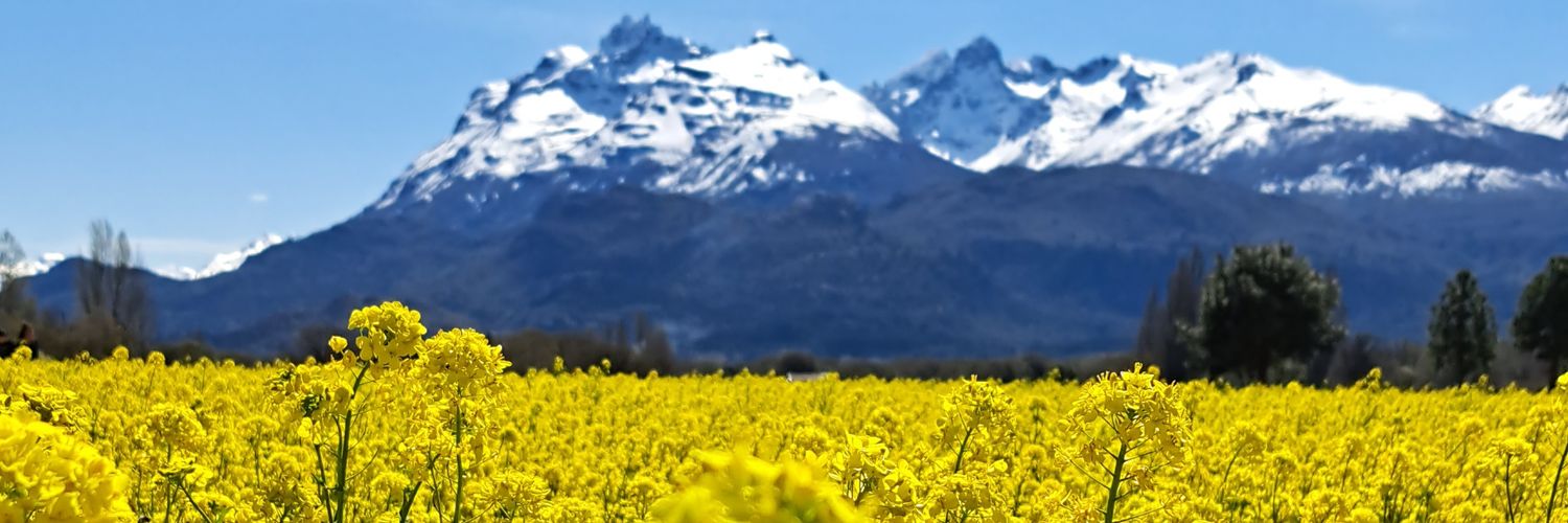 ampivelazco's profile banner image