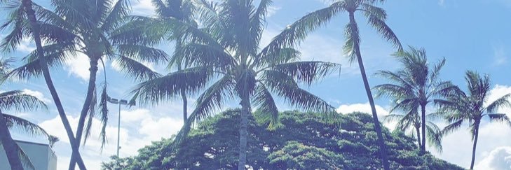 robinsonnhailey's profile banner image