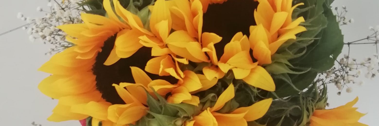85Krolina's profile banner image