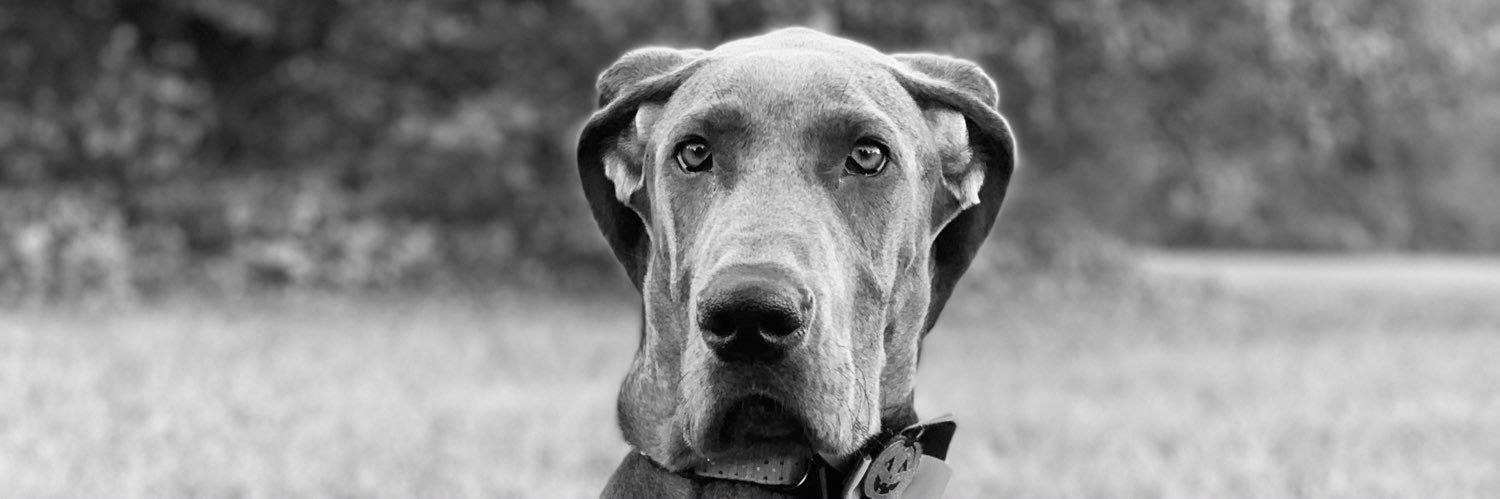 molly_cromer's profile banner image