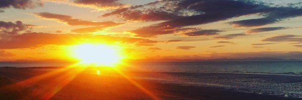 CarrieDoig Profile Banner