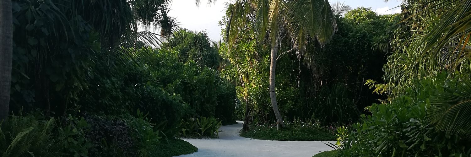 kmudlej's profile banner image