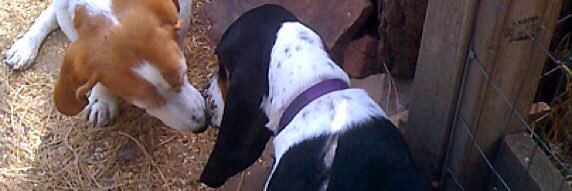 MaddyBasset's profile banner image