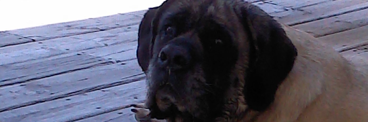 CarrieLu75's profile banner image