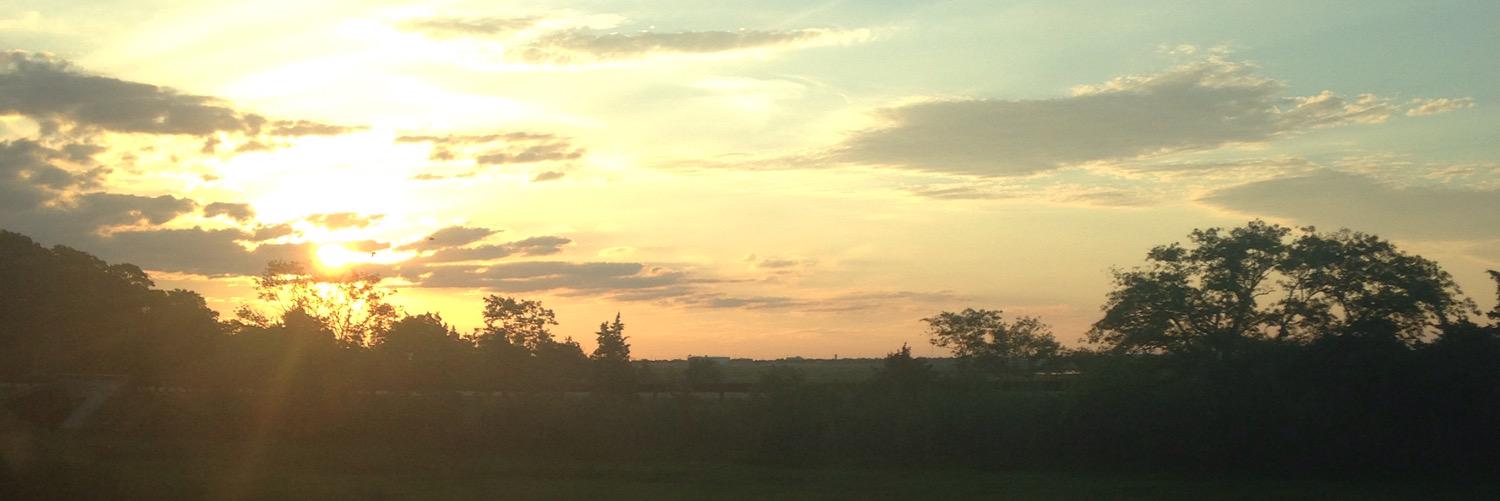 PsychVisionary's profile banner image
