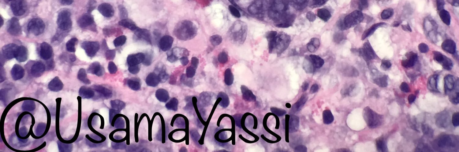 UsamaYassi's profile banner image