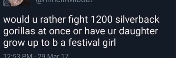 not elise 🍉 banner