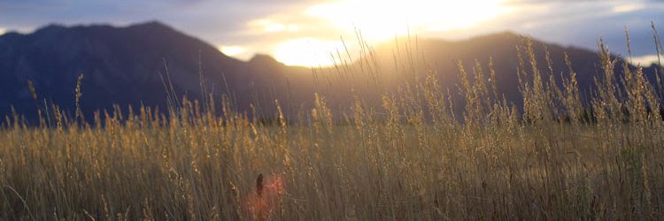 dan_mackin's profile banner image